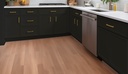 Newtone Black